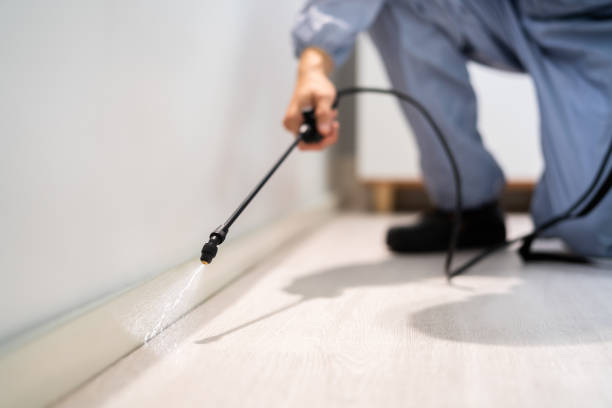 Licensed Pest Control service in Washburn, IL - Nex Pest Control