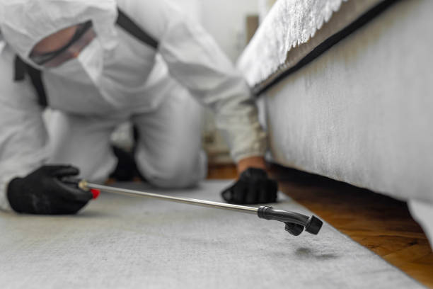 Professional Pest Control technician working in Washburn, IL